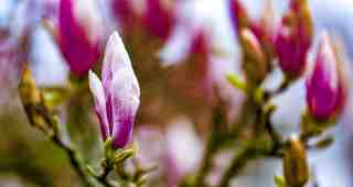 The NOW of Gütersloh