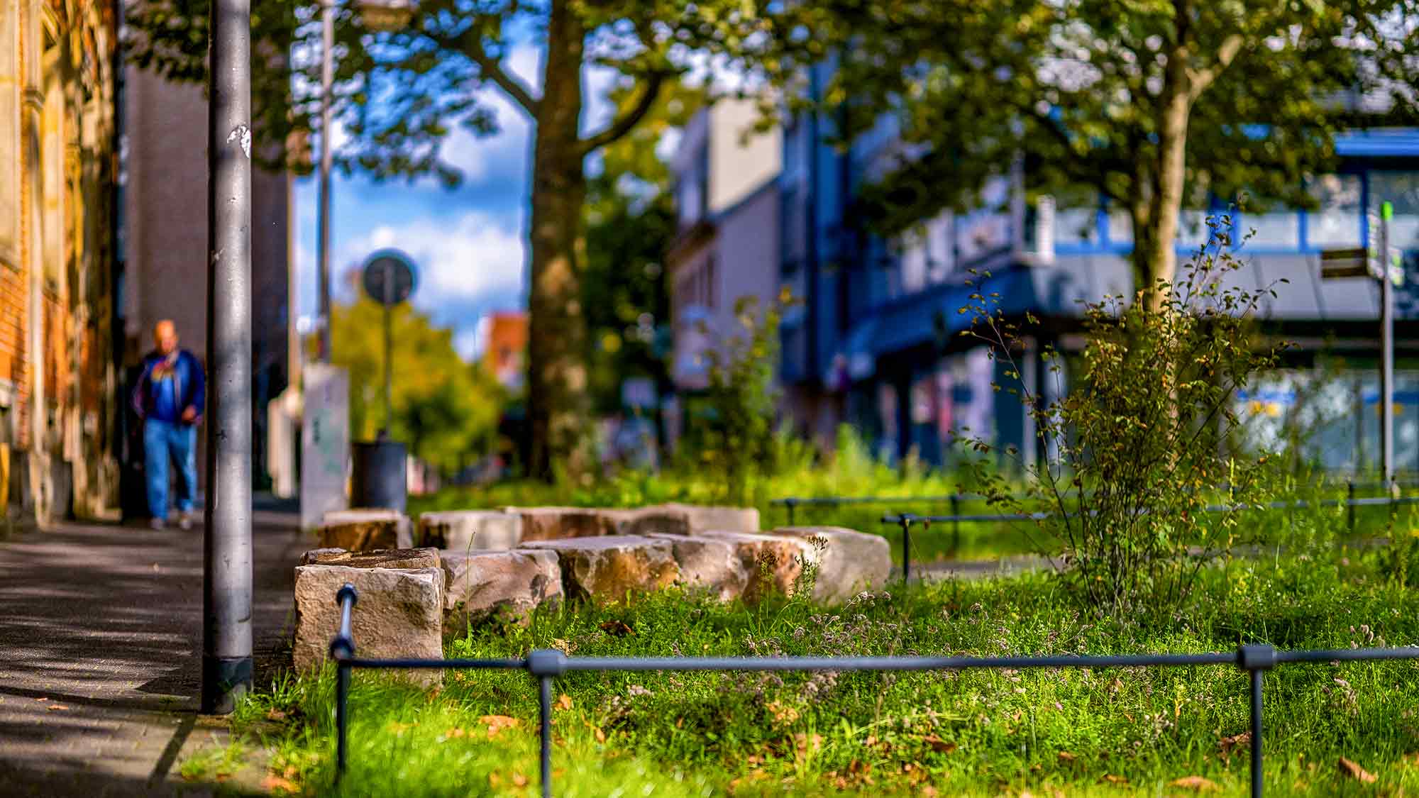 NOW Commons: entsiegelter Stohlmannplatz Gütersloh, Wildwiese