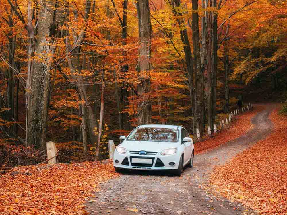 Mit dem Auto sicher durch den Herbst