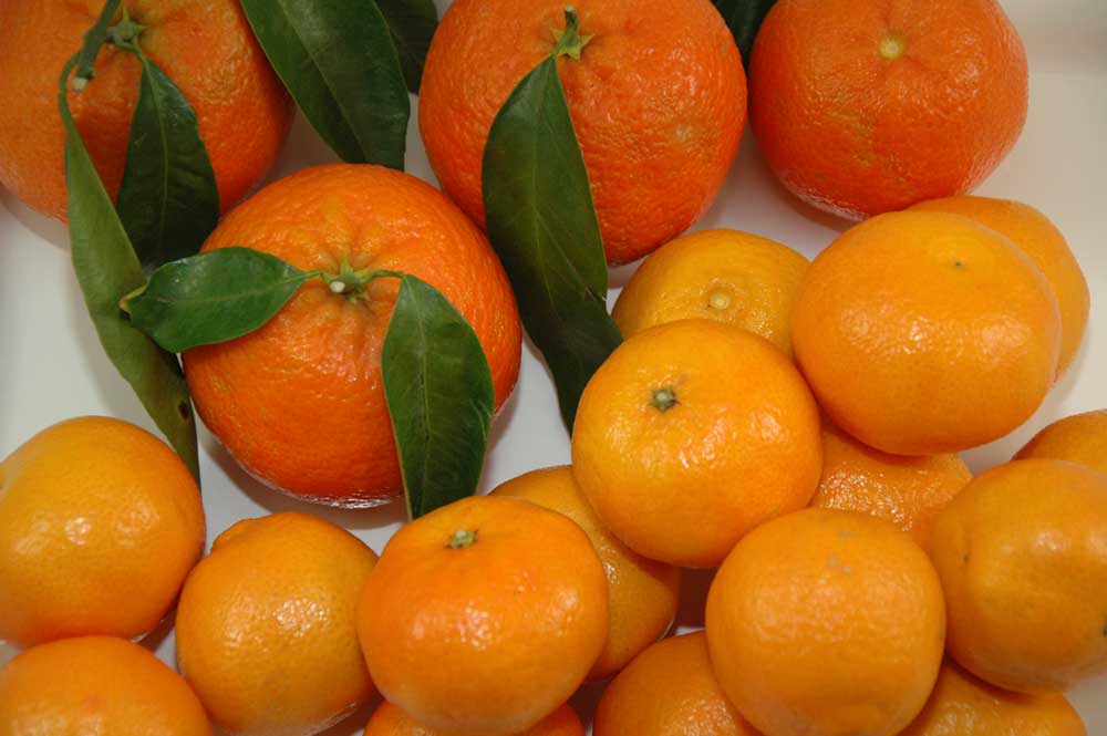 Früchtestars im Winter: Clementinen und Mandarinen