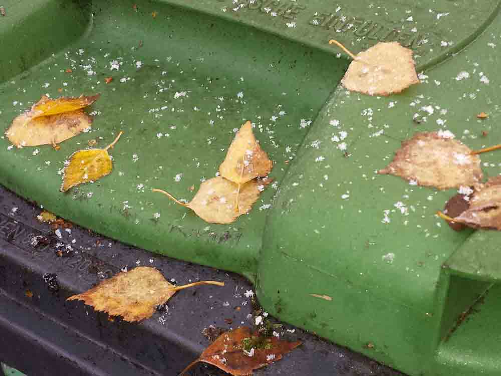 So sicher wie Weihnachten: Frost in der Komposttonne