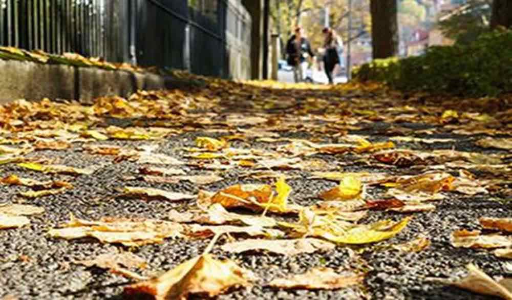 Wenn die Blätter fallen: Wer haftet bei rutschigen Bürgersteigen?