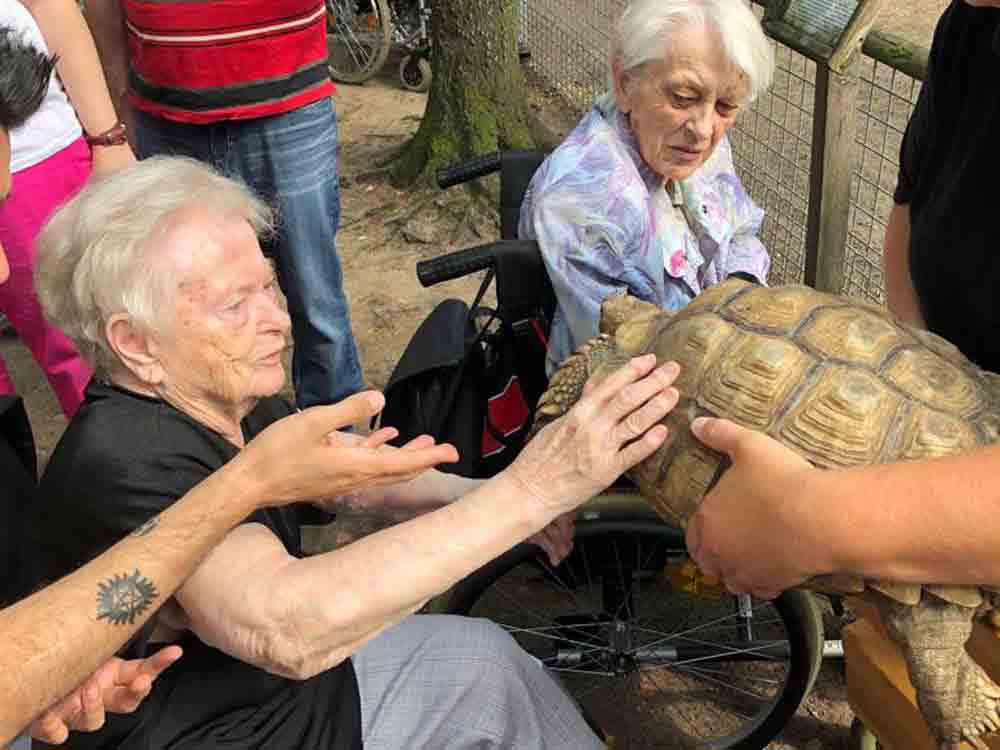 Senioren gehen mit Tieren auf Tuchfühlung