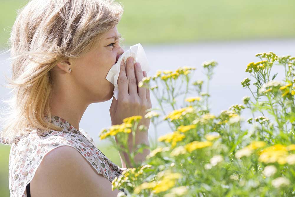 Für Allergiker im Kreis Gütersloh brechen harte Zeiten an