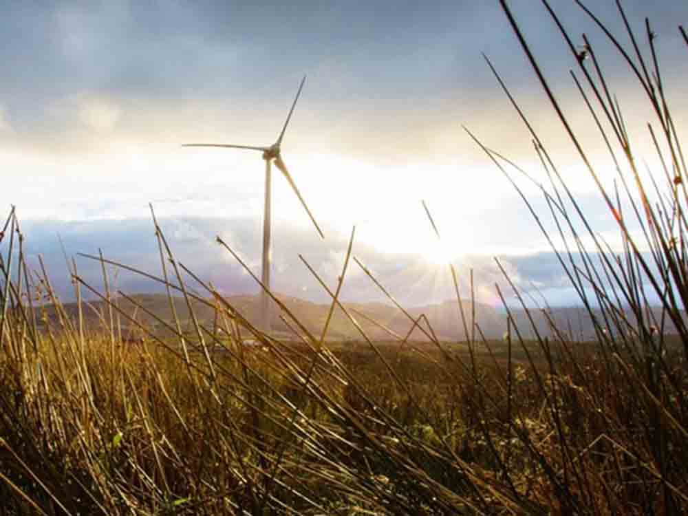 Für ein besseres Klima: Ingka-Gruppe investiert zusätzliche vier Milliarden Euro in erneuerbare Energien
