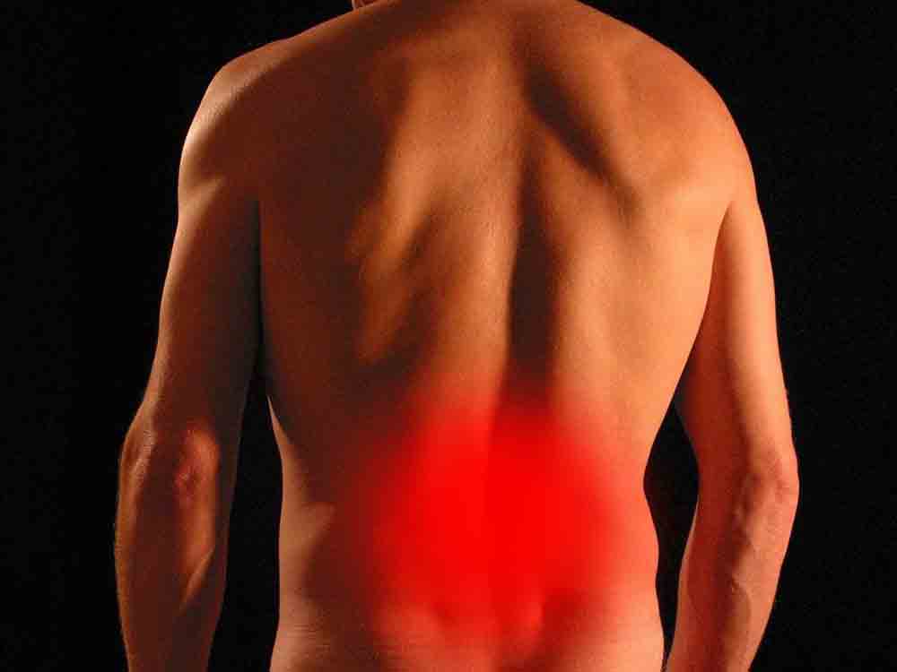 Rückenschmerzen: Bewegung kann Chronifizierung vorbeugen