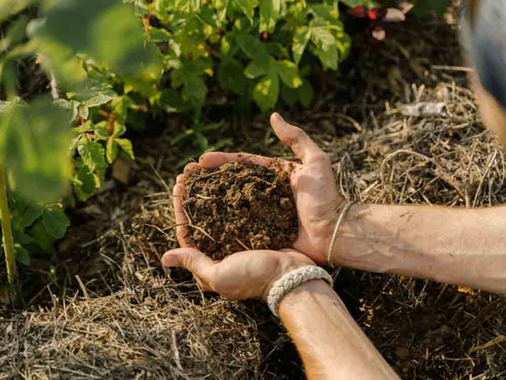Gemeinsam für gesündere Böden: Kommt mit auf die »Living Soil Journey«