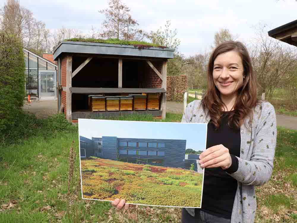 Grünes Dach, grüne Fassade: Jetzt bis zu 12.000 Euro Zuschuss aus Förderprogramm der Stadt Gütersloh
