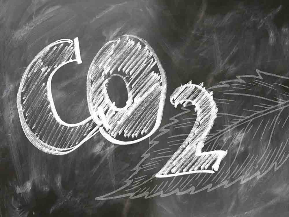 Wie erstelle ich eine Kohlendioxyd-Bilanz für mein Unternehmen?