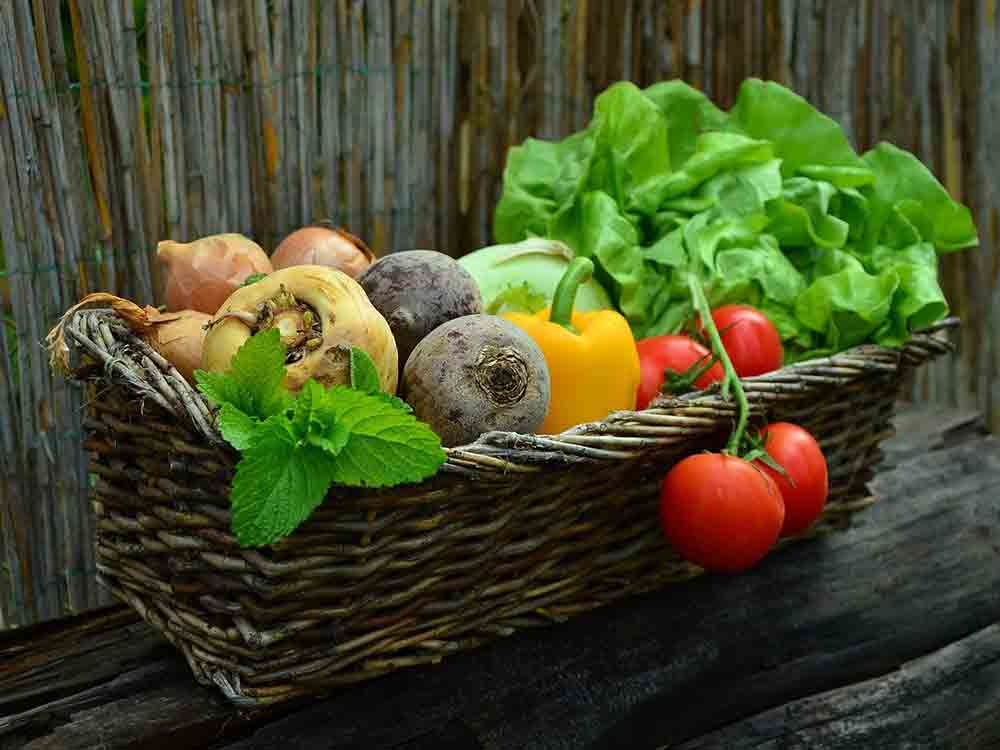 Die »GemüseAckerdemie«: Für eine Generation, die weiß, was sie isst – am 11. Juni 2021 im Kreis Gütersloh