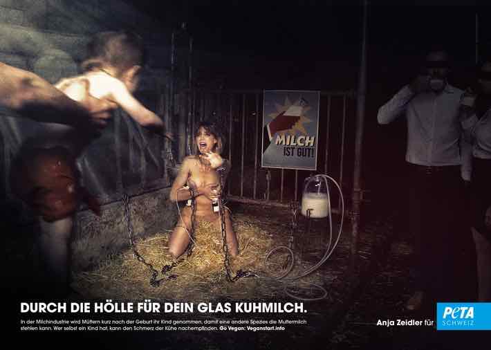 Realität zu grausam: PETA-Plakataktion mit Motiv von Anja Zeidler untersagt