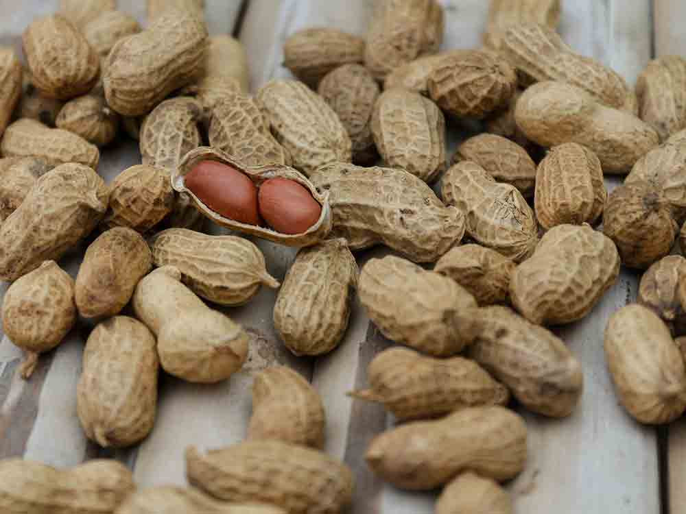 Erdnüsse sind keine Peanuts