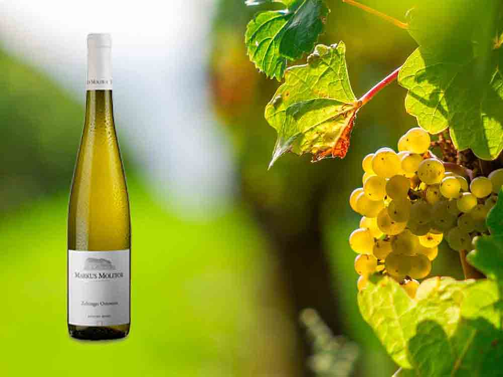 Anzeige: Wein des Monats im Juni 2021 bei Jacques’ Weindepot – Markus Molitor Zeltinger Ortswein 2019