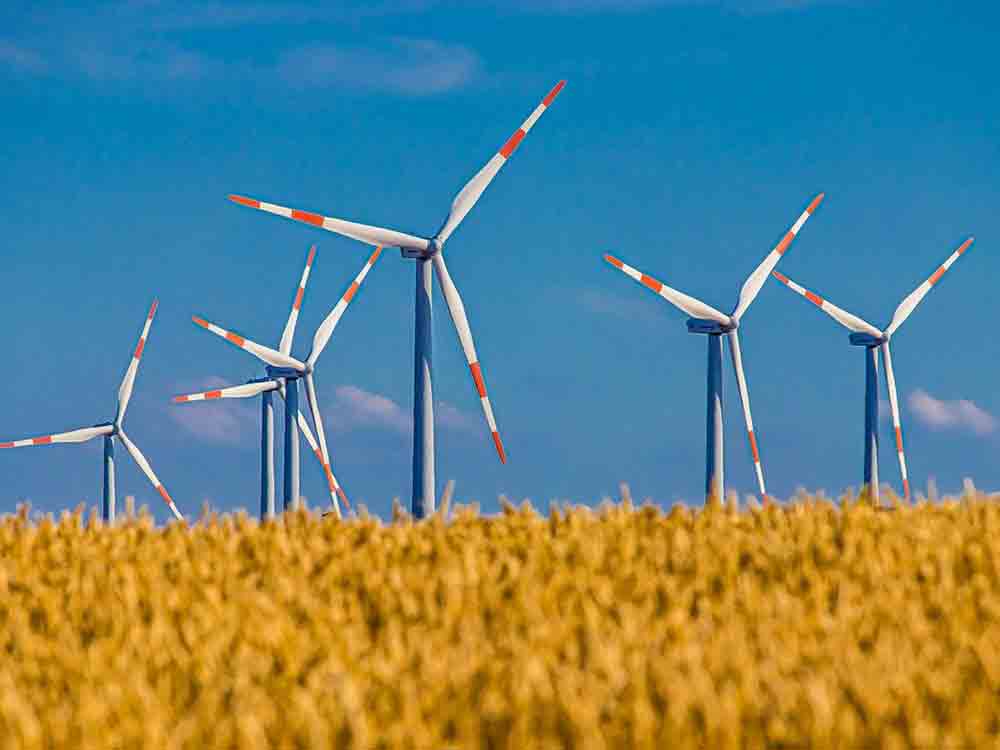 Klimaschutz: 65.000 Menschen gegen Laschets Windkraft-Verbot