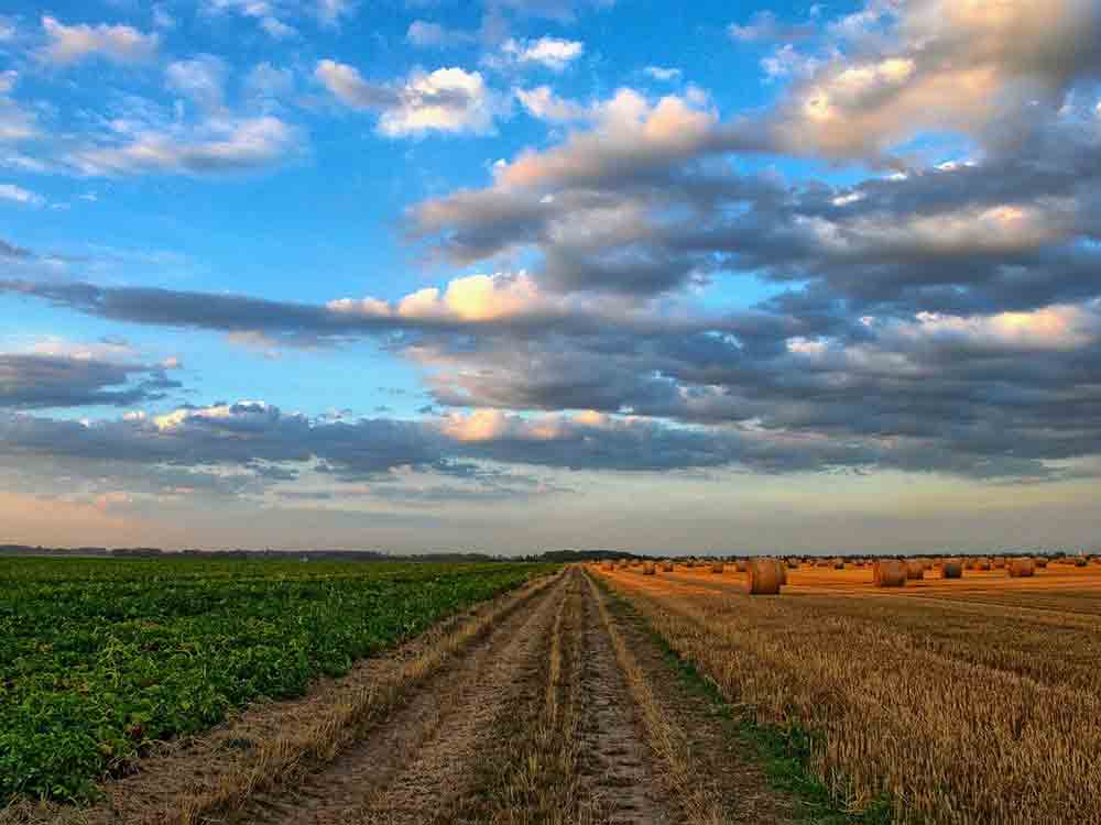 Das Mercosur-Abkommen und die Folgen für die Landwirtschaft