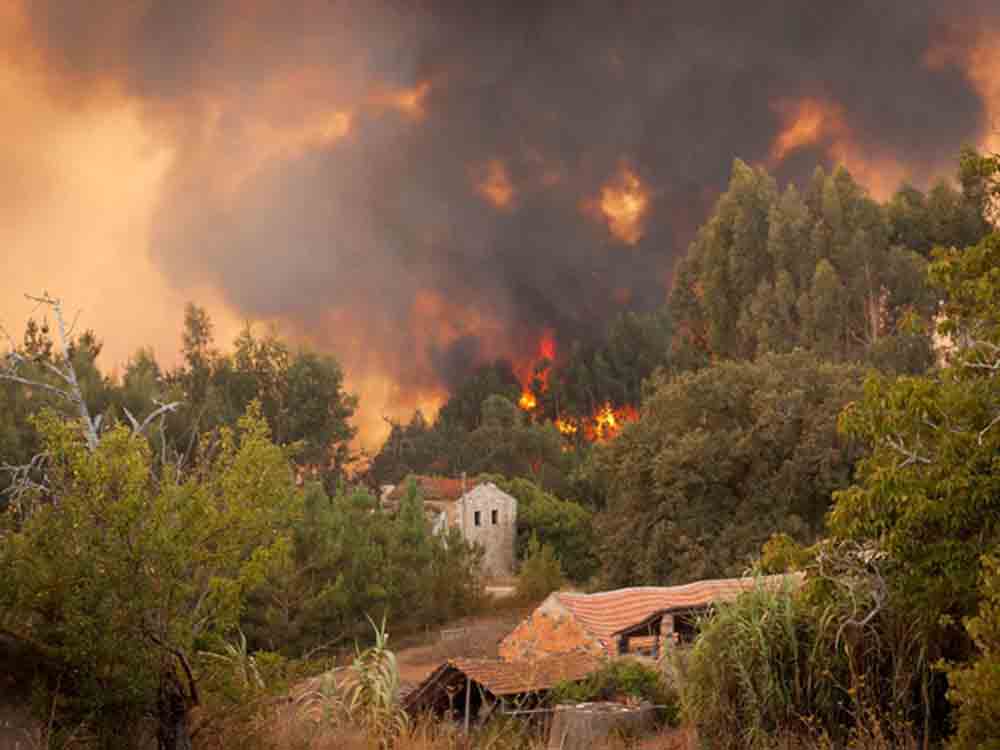 Waldbrände im Fokus von »planet e.« im ZDF