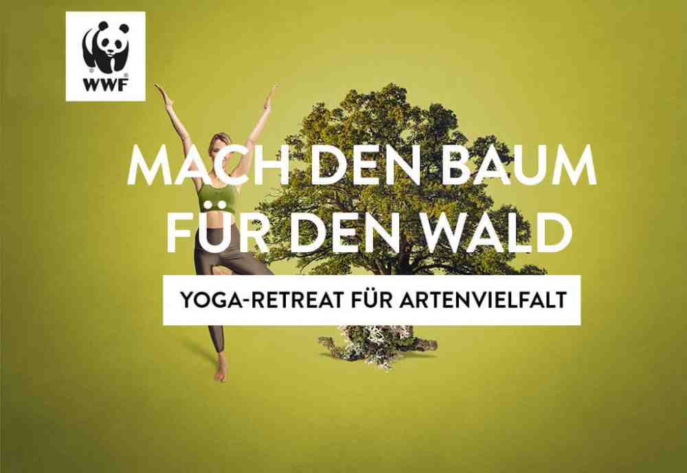 Yoga für Artenvielfalt in Bad Driburg