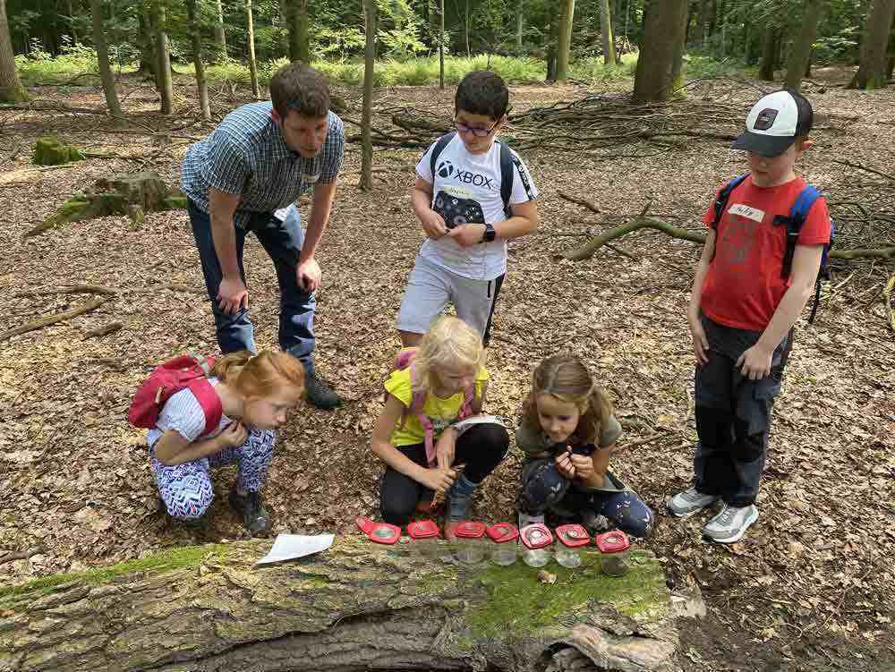 Waldspaziergang für Kinder: »Im Wald mit allen Sinnen« in Rheda-Wiedenbrück