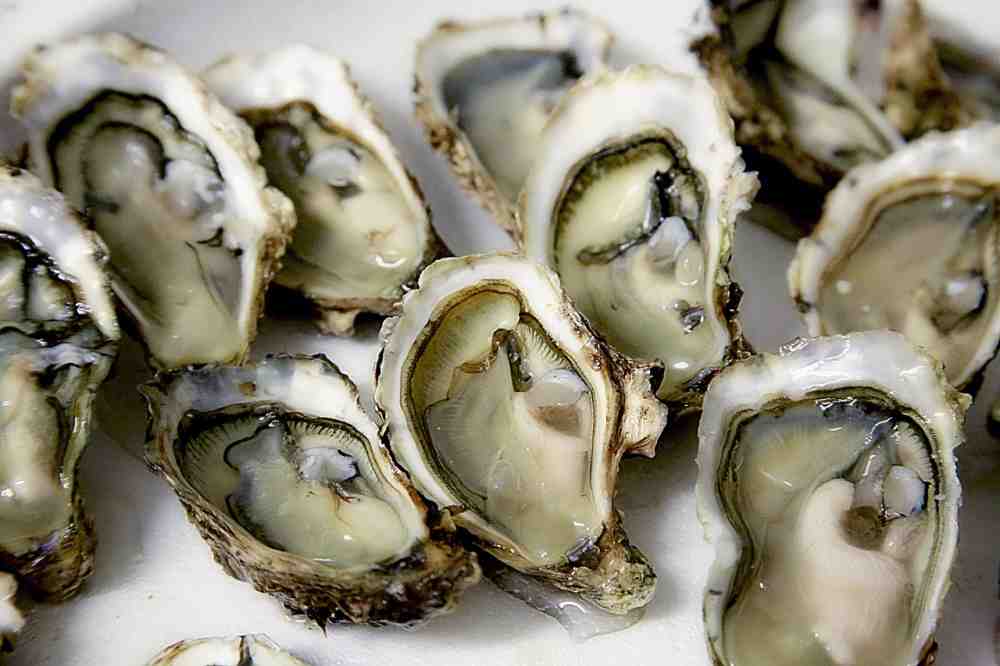 Gastro-Tipp für Gütersloh: Austern