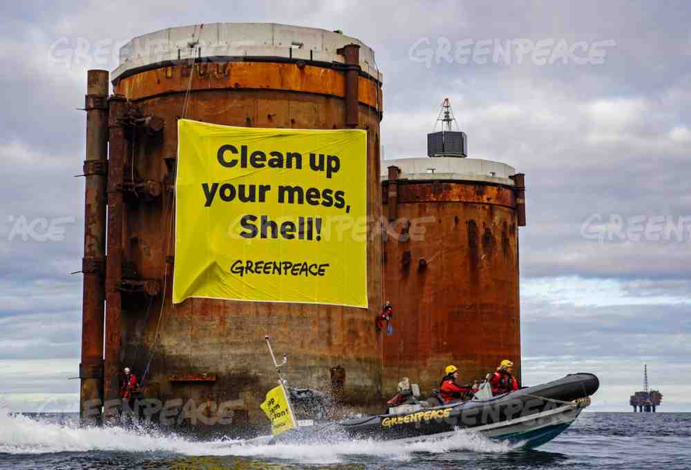 Greenpeace feiert 50-jähriges Jubiläum