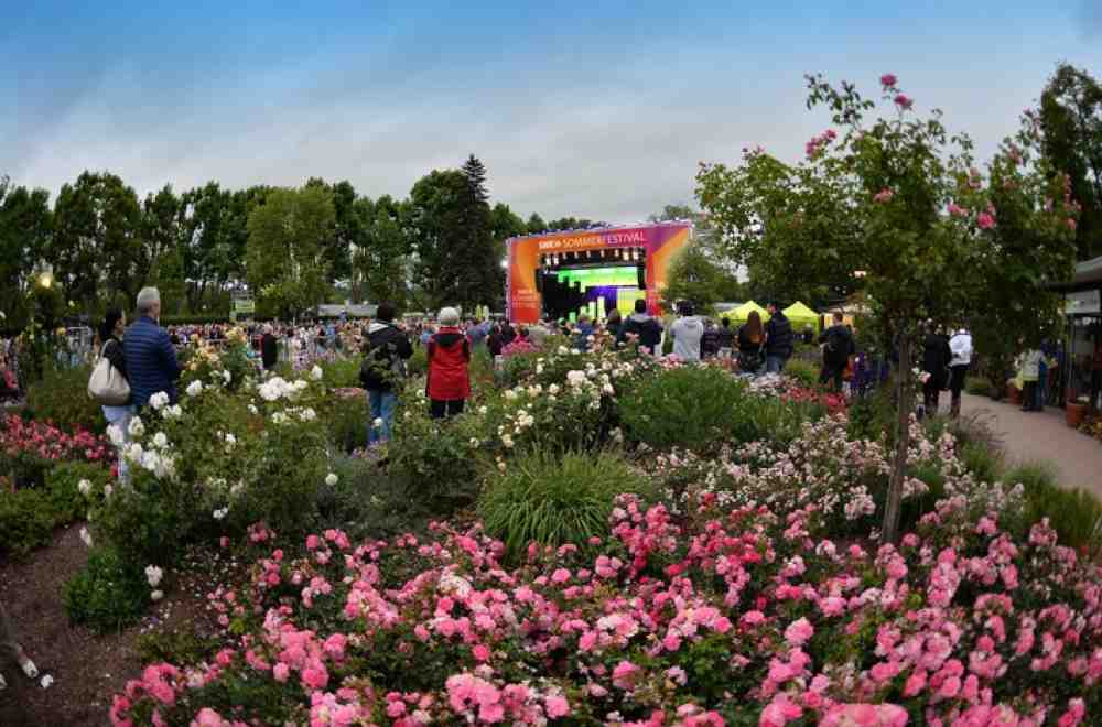 SWR-Sommerfestival 2021: Sommerfeeling und Musik