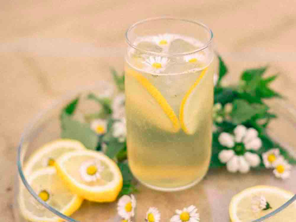Cocktail-Rezept »Lagerkorn Daisy« lässt Sour in neuer innovativer Frische erblühen