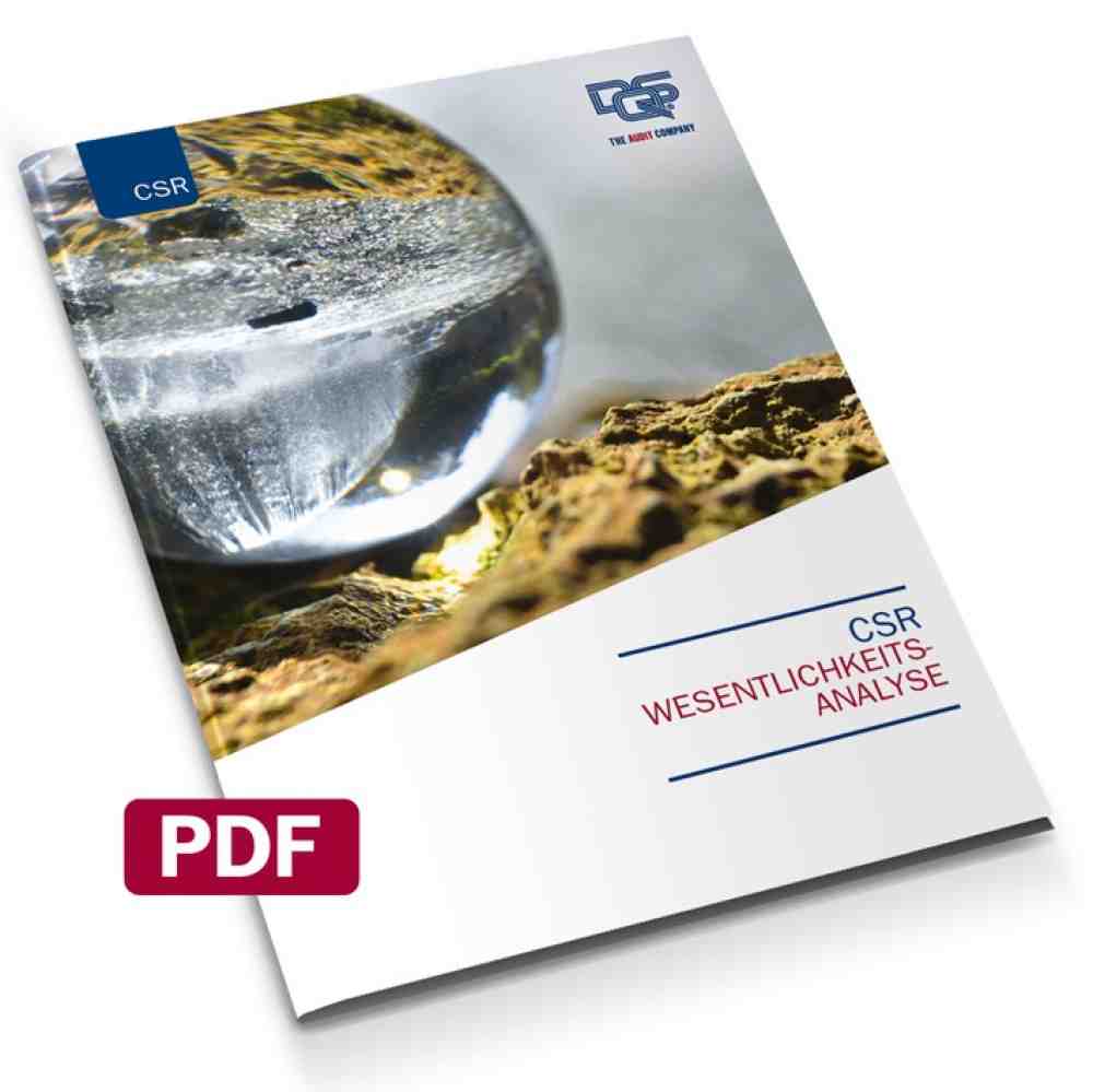 Corporate Social Responsibility (CSR): neues Whitepaper »Risikoanalyse im Nachhaltigkeitsmanagement«