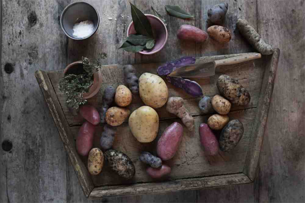 »Dr. Kartoffel«: Tipps für natürliche Gesundheitshelfer mit Kartoffeln – Rezept für Kartoffel-Linsen-Suppe