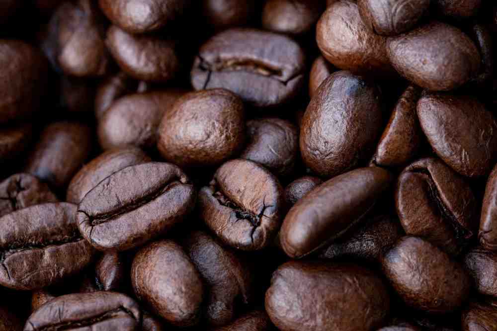 In Finnland bauen Wissenschaftler Kaffee in einem Labor an