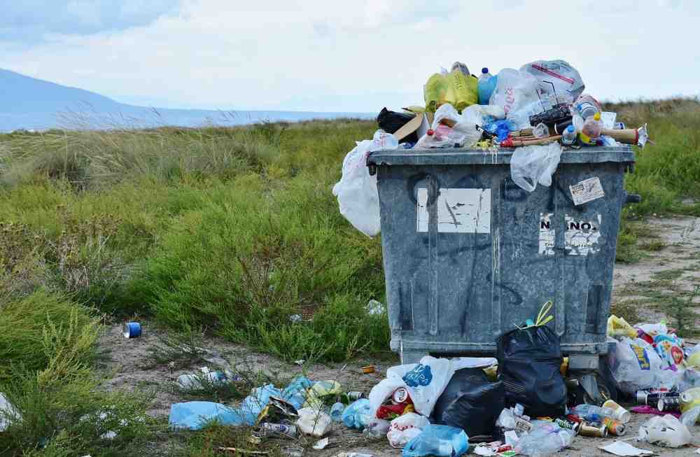 »WWFthink Wahl spezial« zur Transformation der Wirtschaften – Maja Göpel: Mein Müll müsste deine Ressource werden