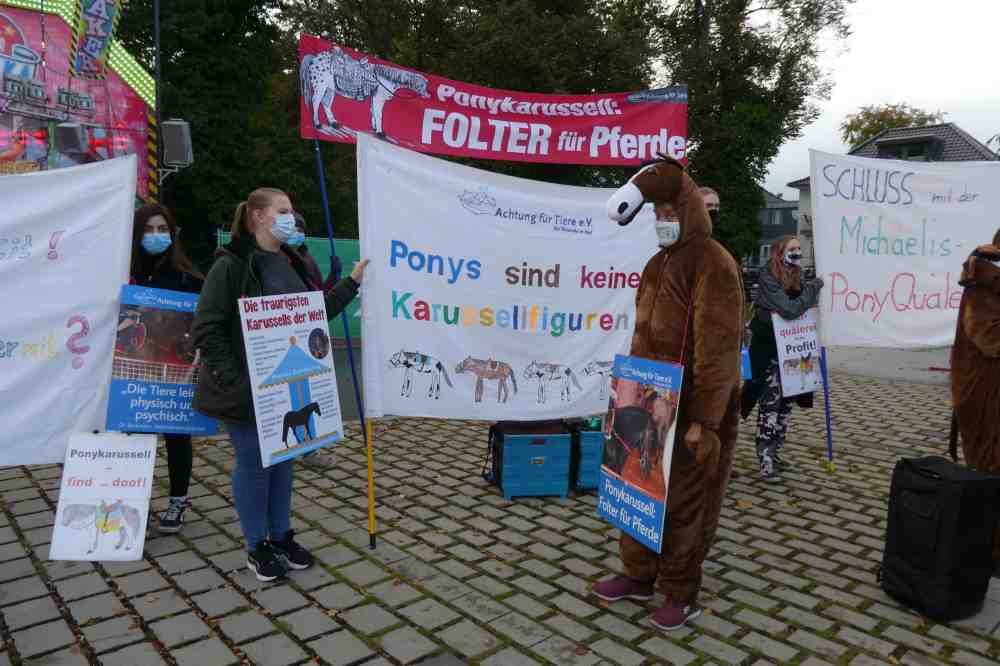 »Achtung für Tiere«: Kein »Pony-Reit-Rondell« im »Michaelispark«
