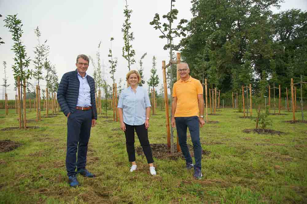Kunden der Volksbank Bielefeld-Gütersloh helfen bei der Aufforstung des heimischen Waldes