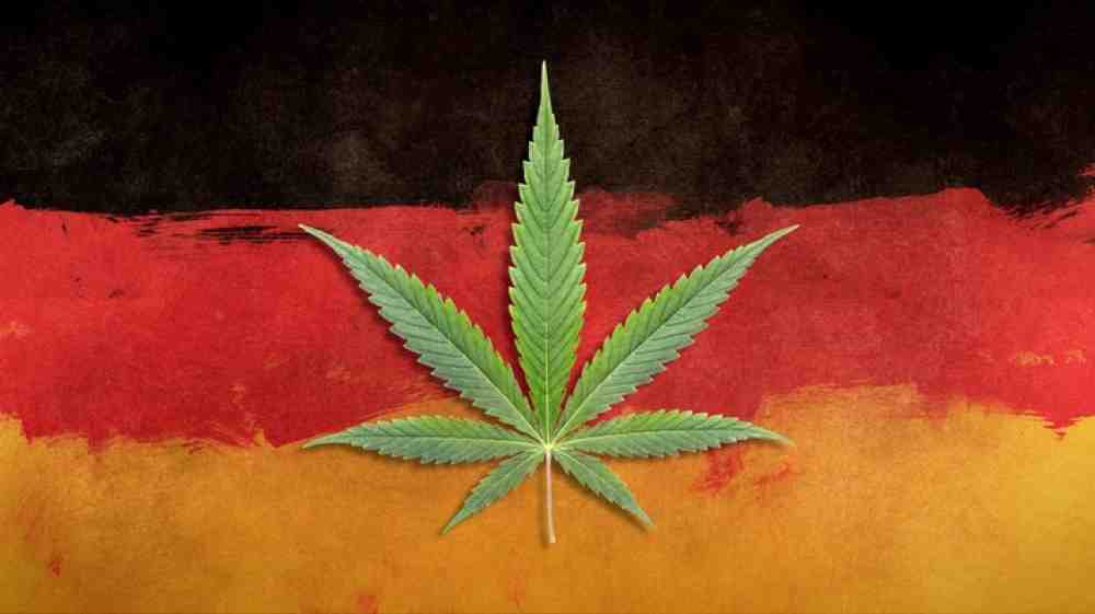 »Cannabis made in Germany« – »3sat«-Magazin »makro« über »Geschäfte mit der Droge«