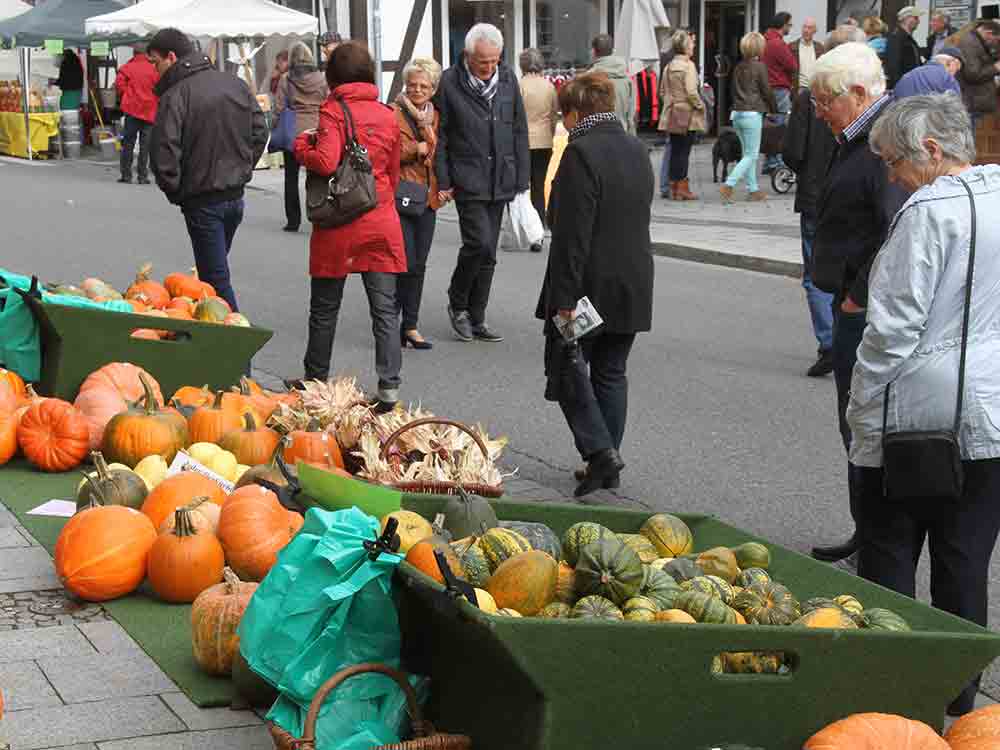Kürbissonntag und Bauernmarkt im Stadtkern – am 31. Oktober öffnen sonntags wieder die Geschäfte in Rietberg