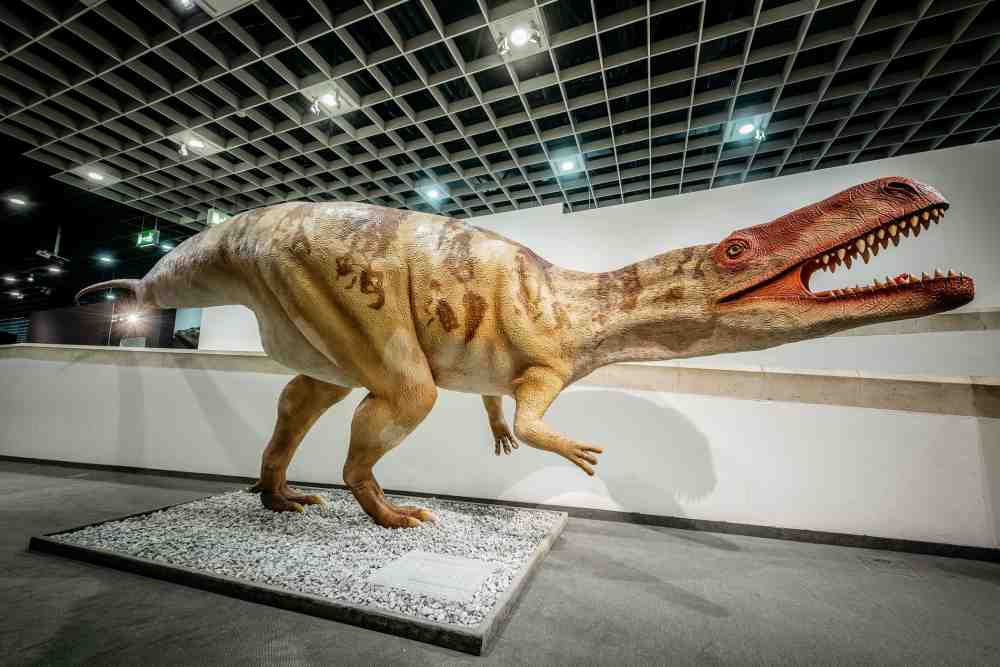 The »Big5+« – die größten Raubsaurier Europas, LWL-Museum für Naturkunde