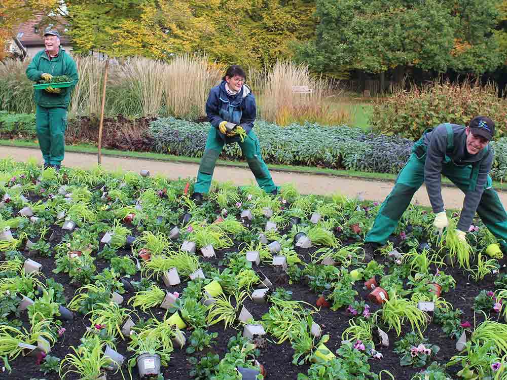 Botanischer Garten Gütersloh: Das Frühjahr 2022 wird rosa