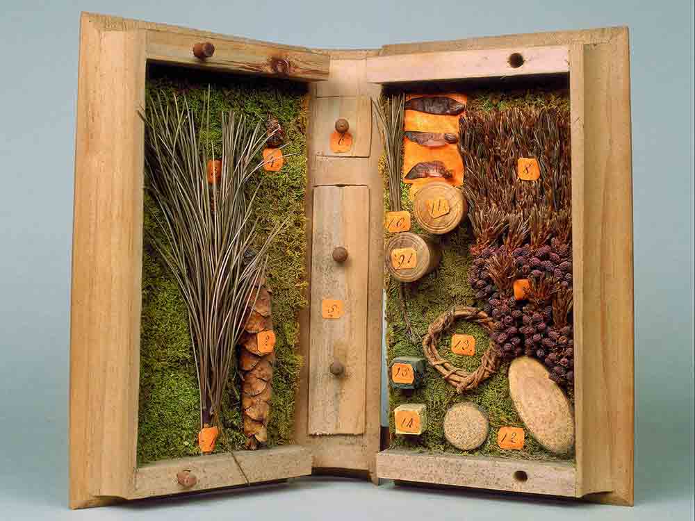Von Holzbüchern, Herbarien, Samen und Zapfen, Vortrag zur Ausstellung »Alleskönner Wald«