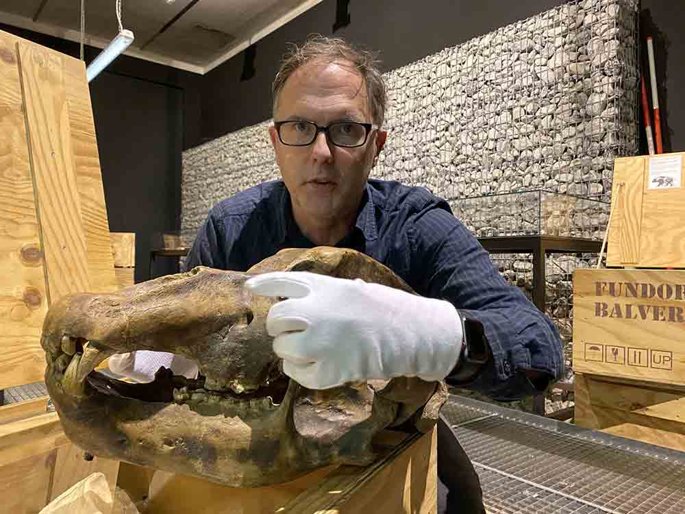 Digitale und analoge Besucher gehen Hand in Hand, LWL-Archäologiemuseum fährt bei Führungen durch die Dauerausstellung zweigleisig