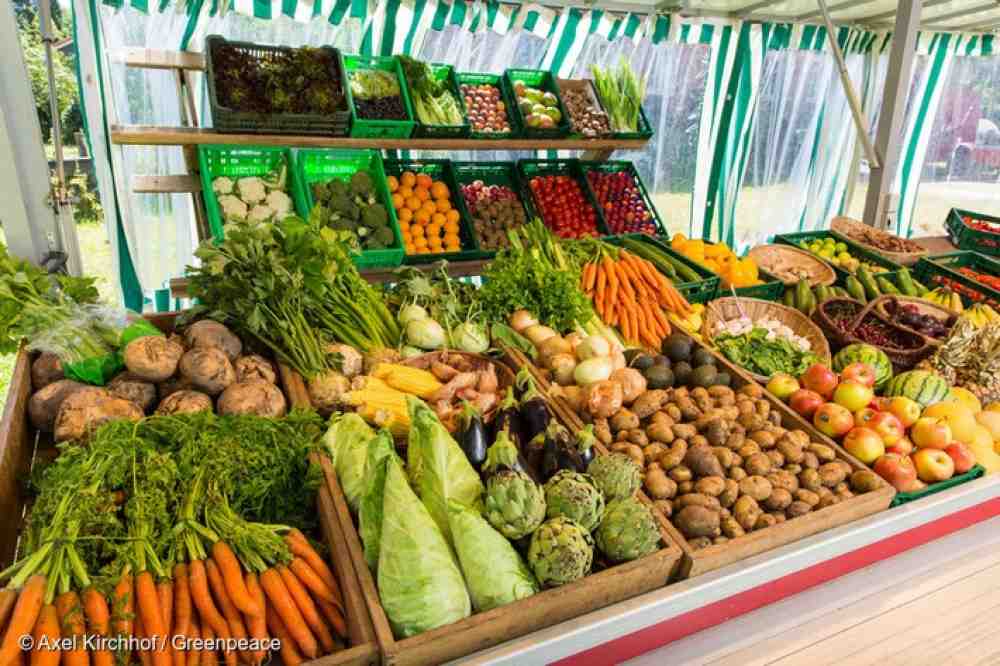VdK, vzbz und Greenpeace fordern: weniger Mehrwertsteuer auf Obst und Gemüse für Klimaschutz und Gesundheit