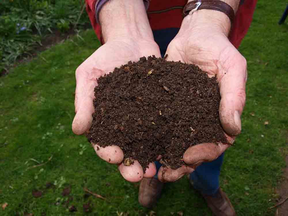 Gütersloh: Gartenboden pflegen – über Kompost, Mulch und Bodenleben, Angebot der Reihe »Lebendige Gärten« am 25. November 2021