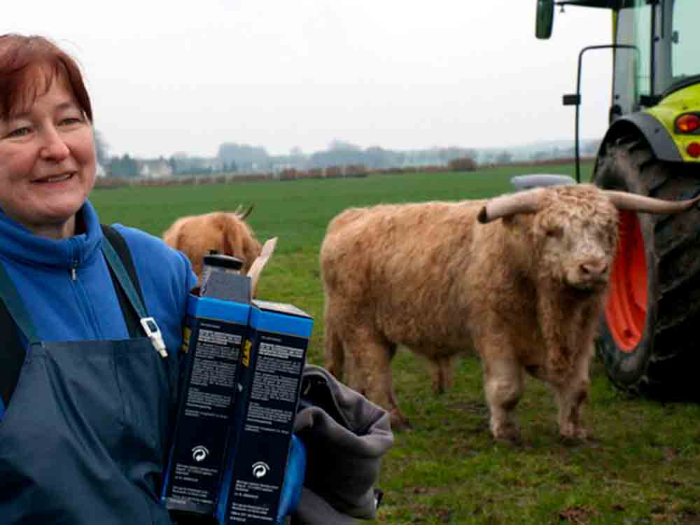»Frau Doktor und das liebe Vieh«, neue Tierarzt Doku im MDR