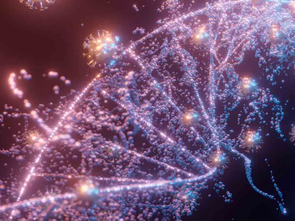 Nachgefragt bei Thomas Fahlenbach: Kann ein Gen-Test beim Abnehmen helfen?