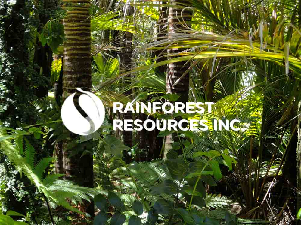Rainforest Resources kündigt den ersten Terminverkauf von Kohlenstoffzertifikaten an