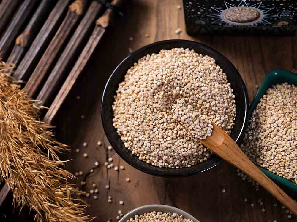 Startup für Bio Hybridfleischprodukt: Erstmals Geflügel Quinoa Meatballs für deutschen Markt entwickelt