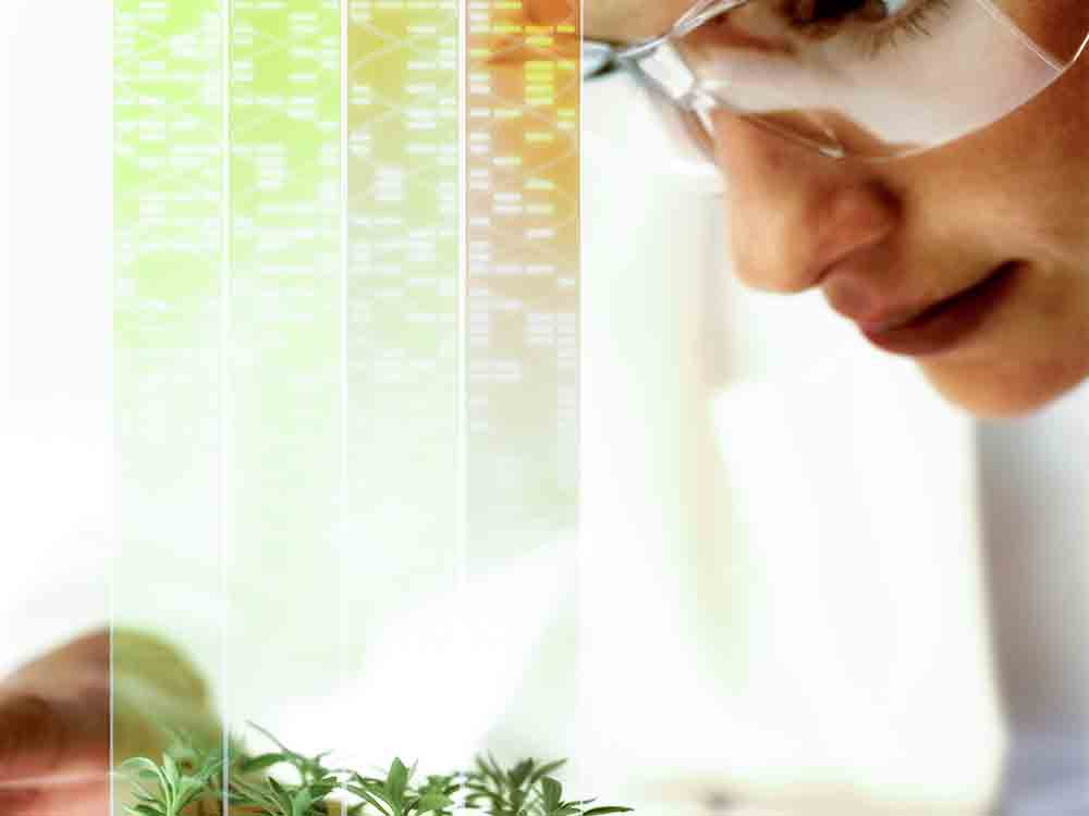 Forscher können neue Ideen für Pflanzenschutzmittel im Rahmen des Testing4Ag-Programms von Bayer einreichen