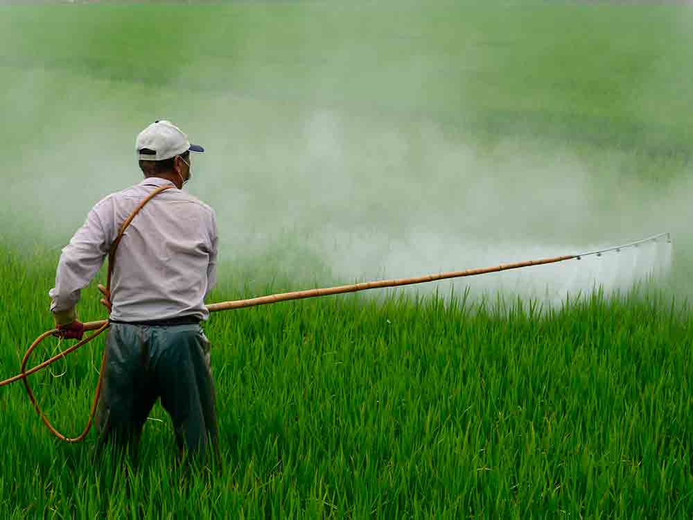 Bioland: Pestizideinsatz endlich deutlich reduzieren!