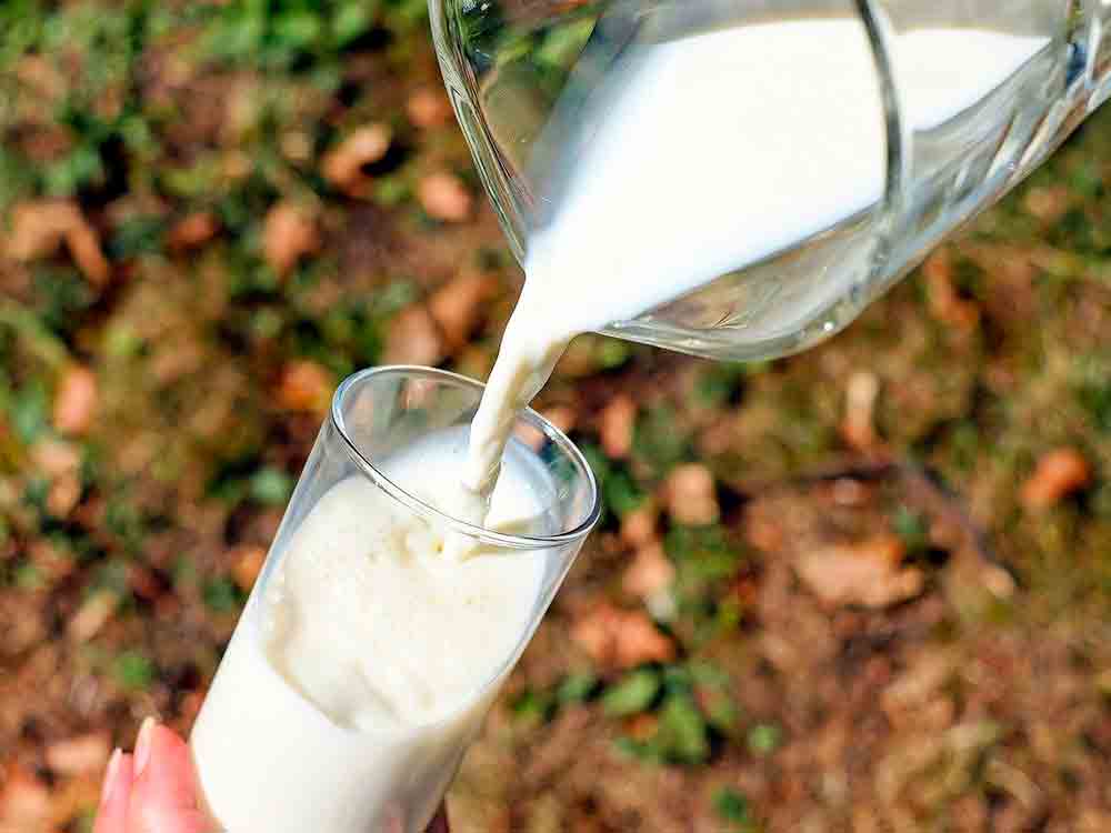 Deutscher Tierschutzbund: Handel setzt bei Milch auf höhere Tierschutzstandards