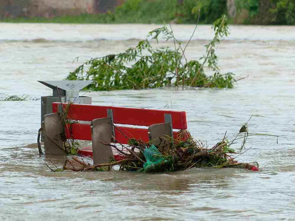 Überschwemmungen im Nationalpark Unteres Odertal