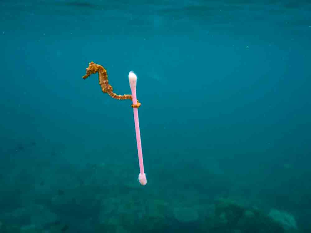 Deutschlandpremiere: National Geographic Ausstellung »Planet or Plastic?« will Bewusstsein für das Problem Plastikmüll stärken