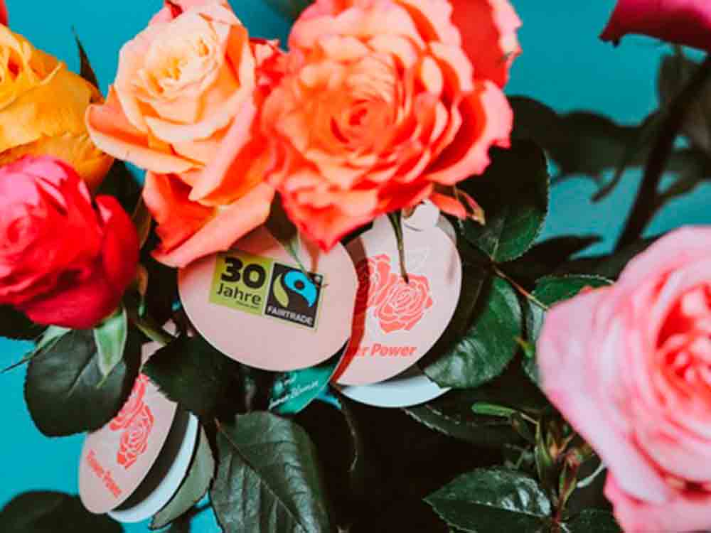 Valentinstag: faire Rose für echte Liebe, Rekordabsatz für Fairtrade Rosen